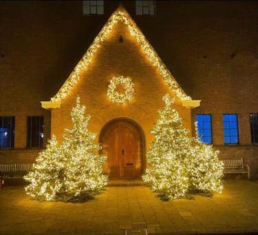 Tjalling's Kerstbomen Amsterdam