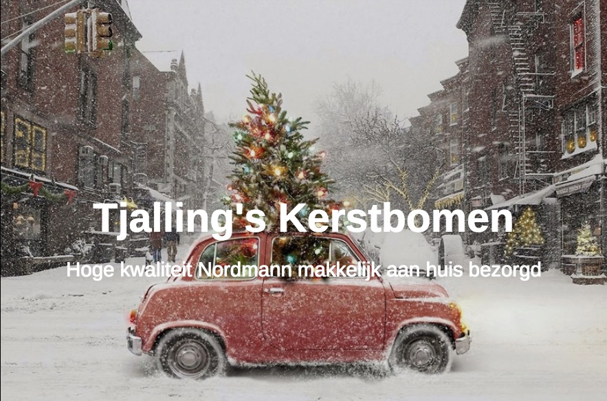 Tjalling's Kerstbomen Amsterdam