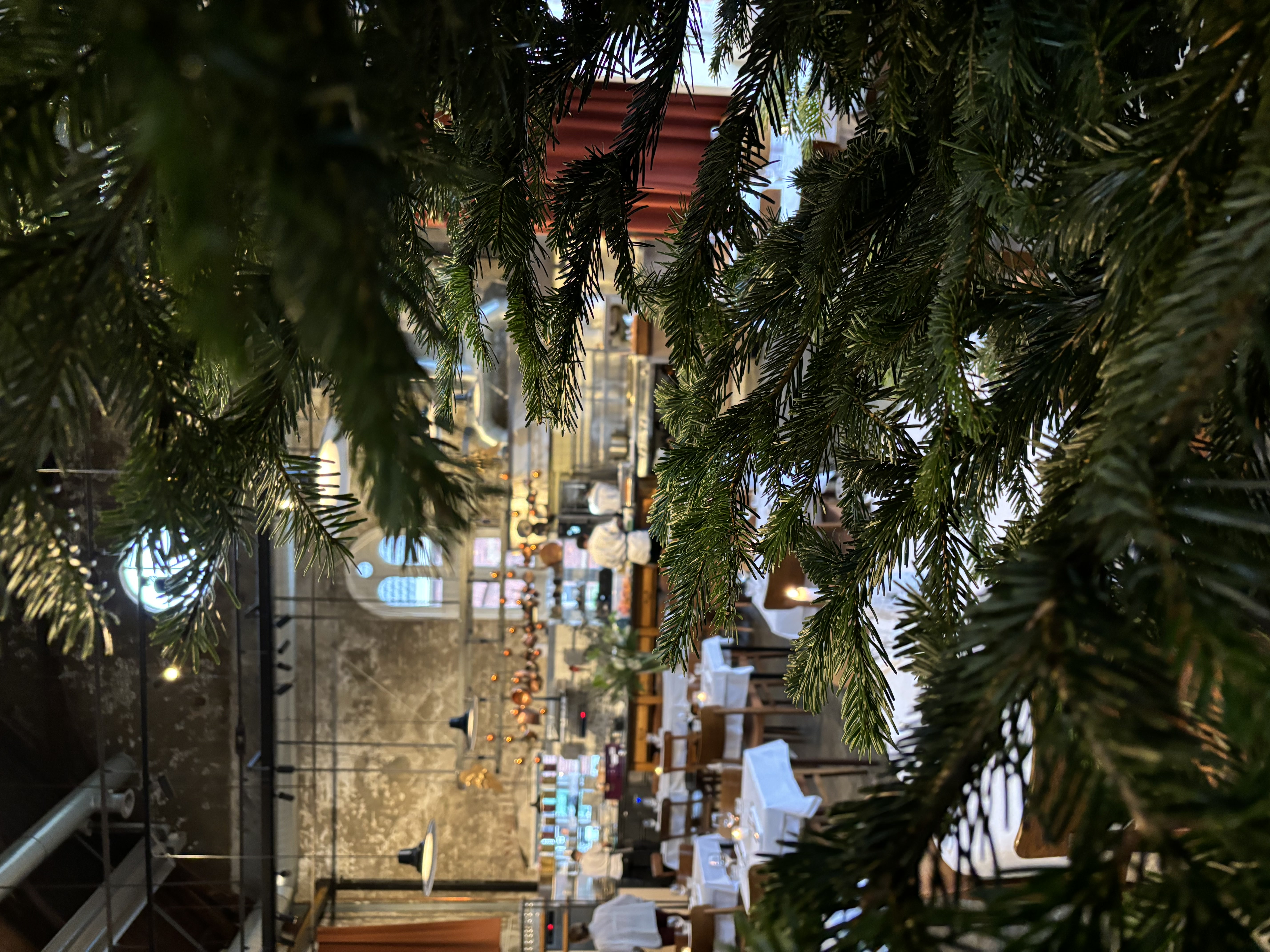 Nordmann 175-200 cm - foto 2